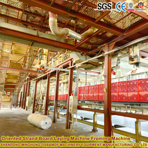 Linea di produzione OSB da 350 M3/giorno con pressa continua