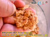 Entry-Level Fuld-Function Medium Density Fiberboard Line
